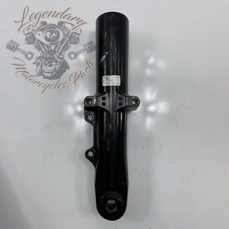 Fork Tubes OEM 45500175B