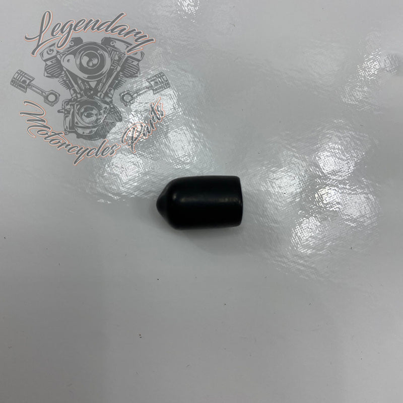 Schutzcabochon OEM 89586-04