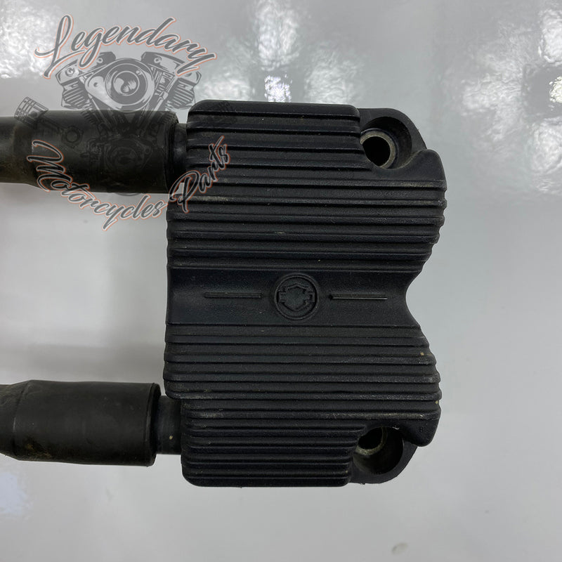 Ignition coil OEM 31743-01