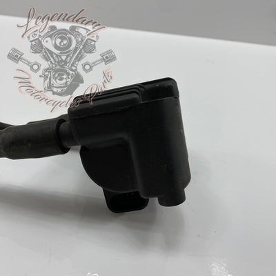 Ignition coil OEM 31743-01