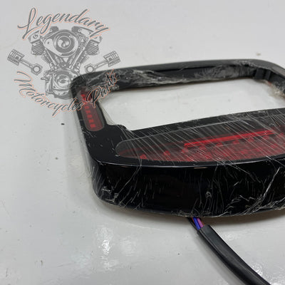 Luz trasera con carcasa de placa Eliminator OEM 20100653