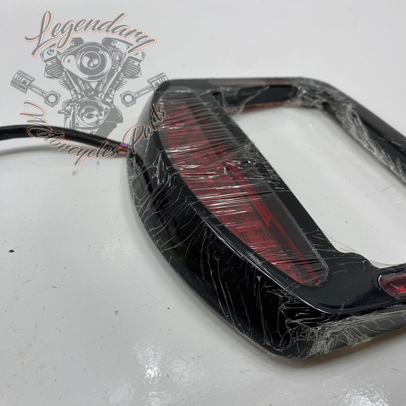 Luz trasera con carcasa de placa Eliminator OEM 20100653