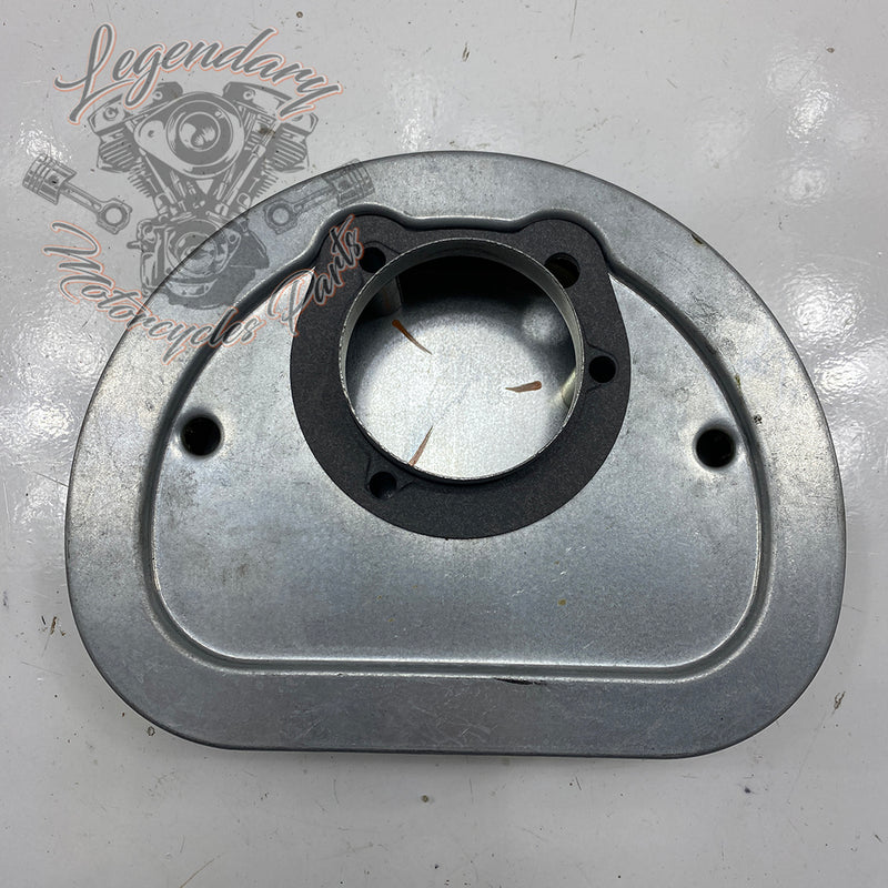 Elemento filtrante OEM 29461-99