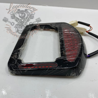 Luz trasera con carcasa de placa Eliminator OEM 20100653