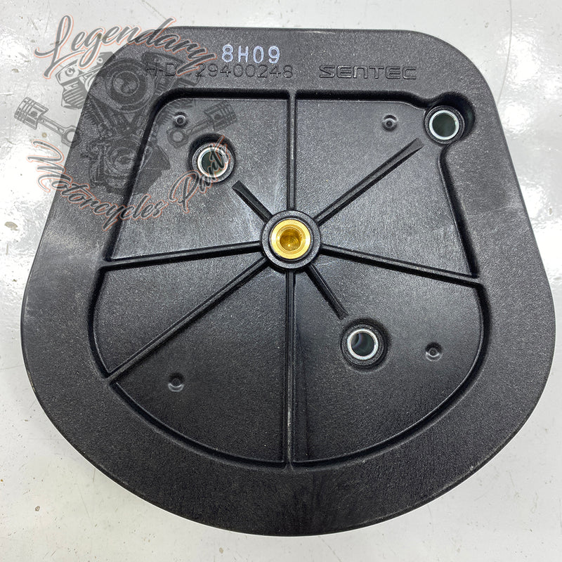 Elemento filtrante OEM 29400248