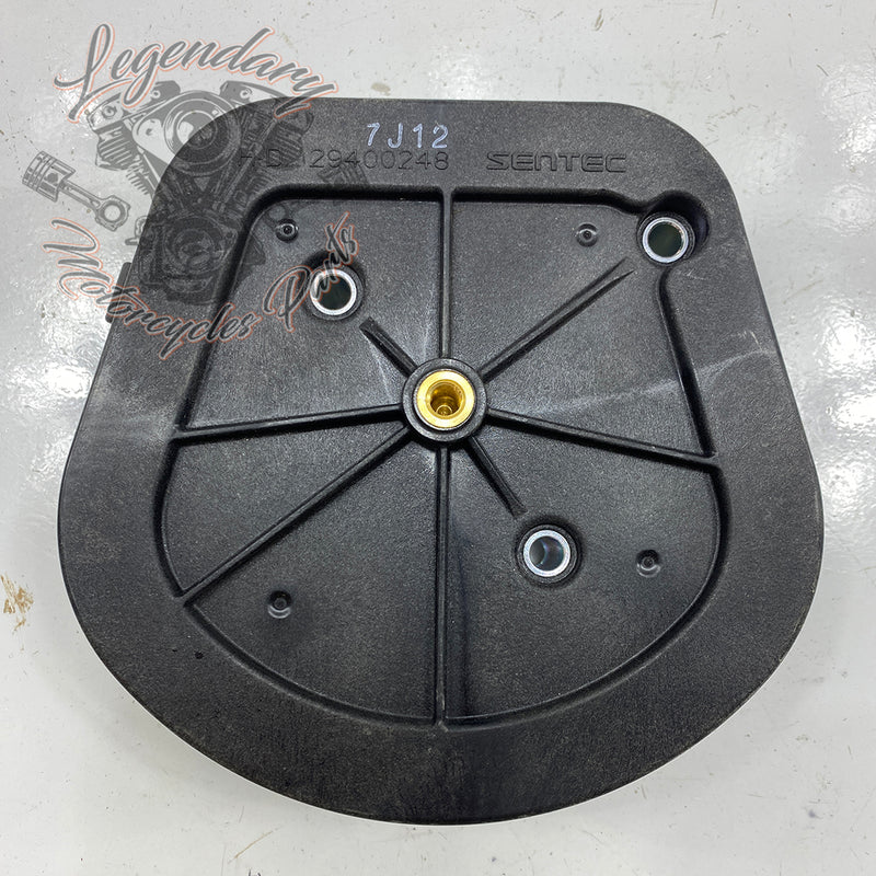 Elemento filtrante OEM 29400248