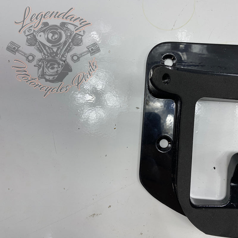 Luz trasera con carcasa de placa Eliminator OEM 20100653