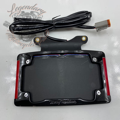 Curved license plate holder with LED lighting OEM 67900273