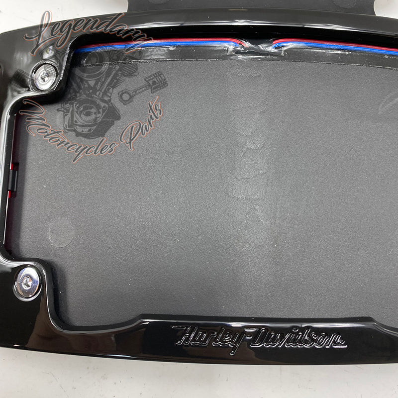 Curved license plate holder with LED lighting OEM 67900273