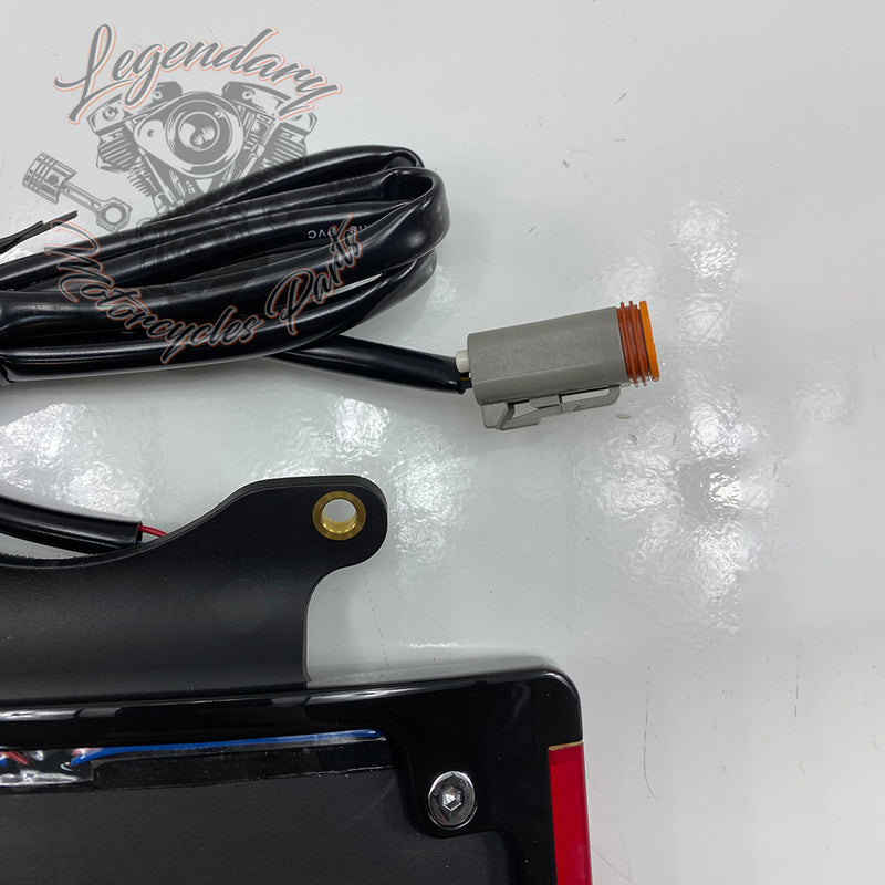 Gebogener Kennzeichenhalter mit LED-Beleuchtung OEM 67900273