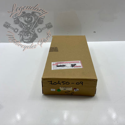 Conjunto de luces traseras OEM 70450-09