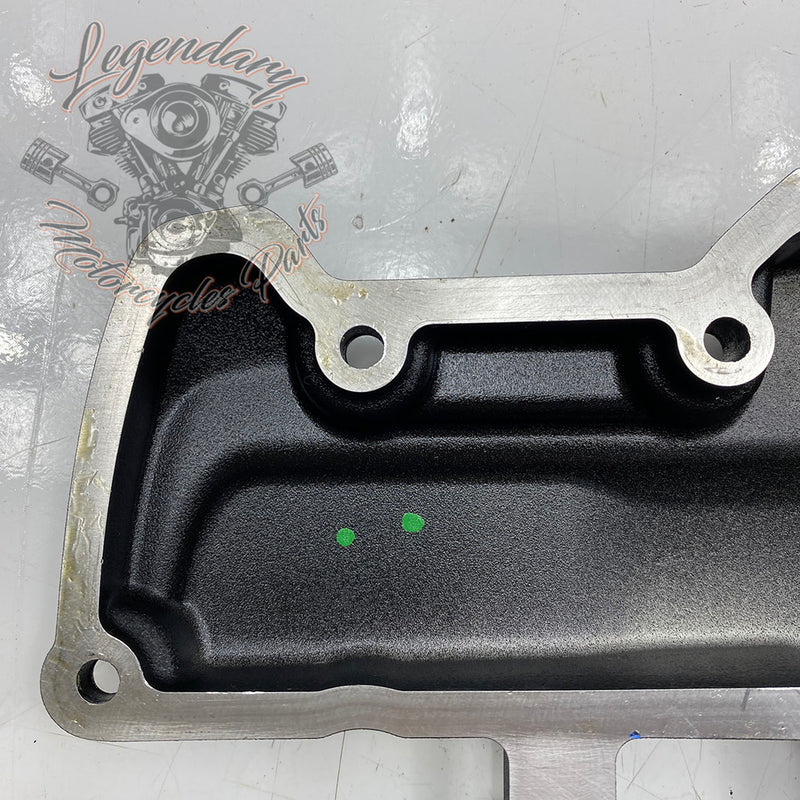 Cassa del bilanciere OEM 25700371 (25700520)