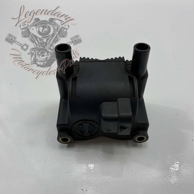 Ignition Coil OEM 31743-01