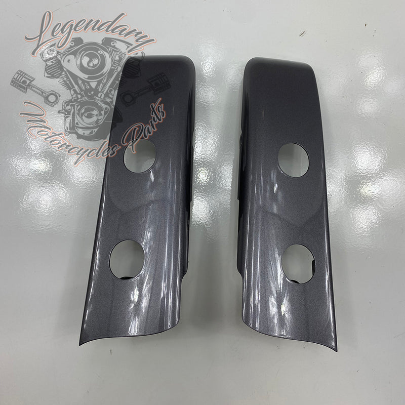 Luggage / Fender Filler Trim OEM 90200874DST