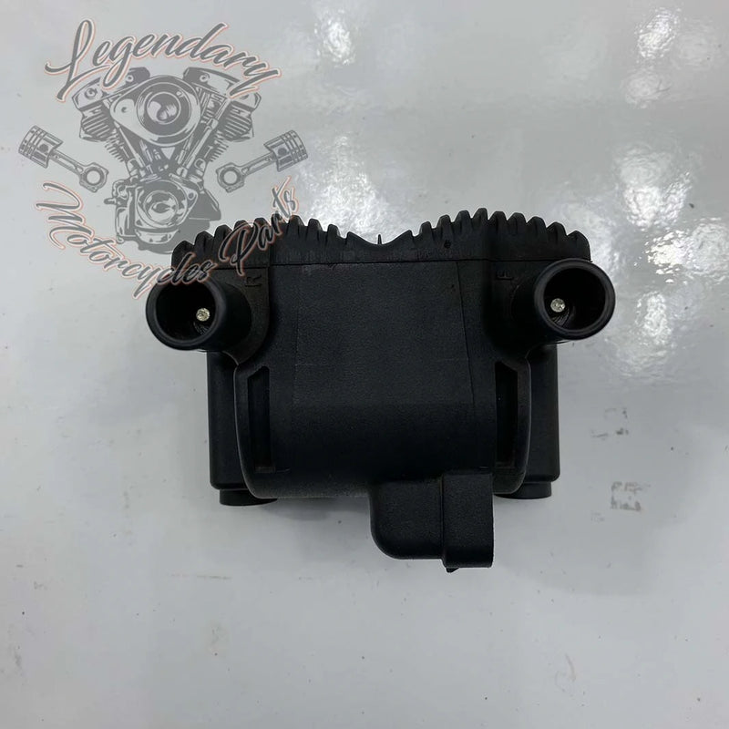 Ignition Coil OEM 31743-01