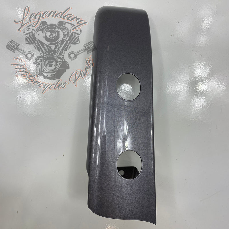 Luggage / Fender Filler Trim OEM 90200874DST