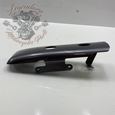 Luggage / Fender Filler Trim OEM 90200874DST