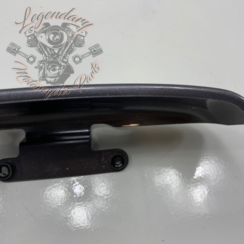 Luggage / Fender Filler Trim OEM 90200874DST