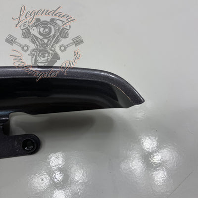 Luggage / Fender Filler Trim OEM 90200874DST