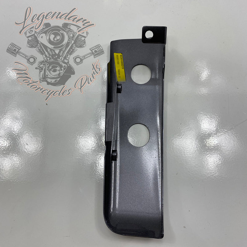 Luggage / Fender Filler Trim OEM 90200874DST