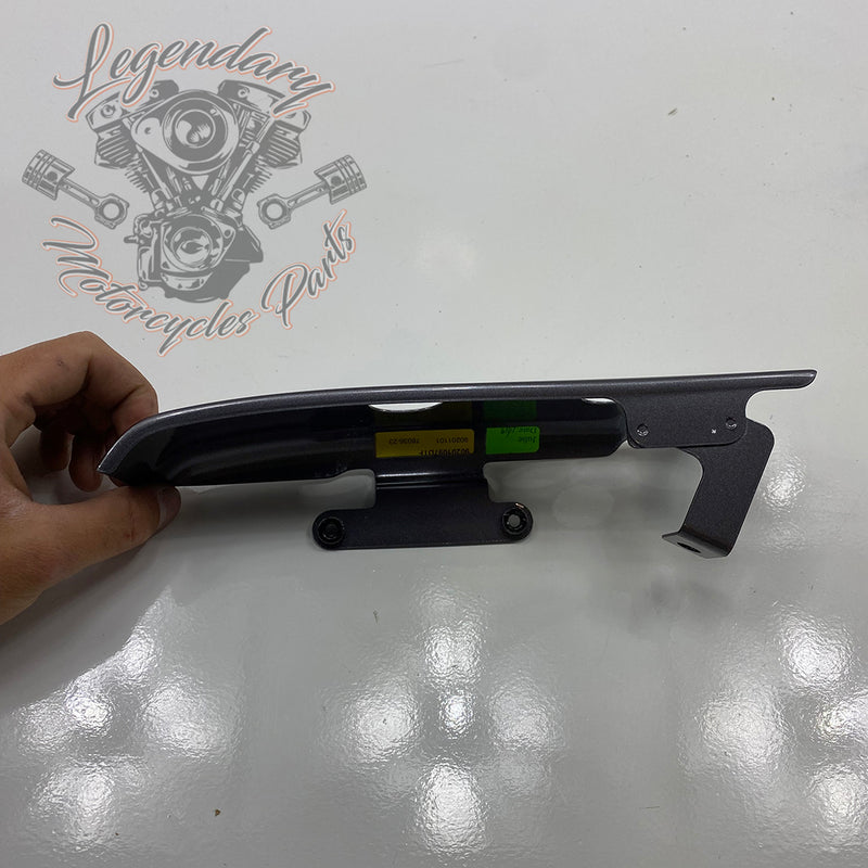 Luggage / Fender Filler Trim OEM 90200874DST