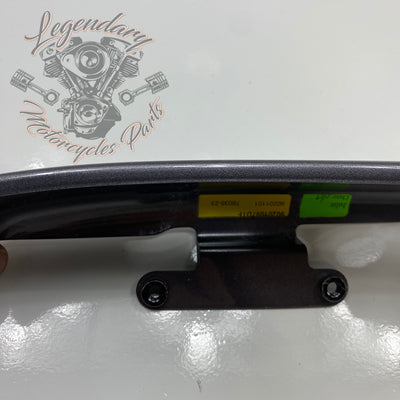 Luggage / Fender Filler Trim OEM 90200874DST