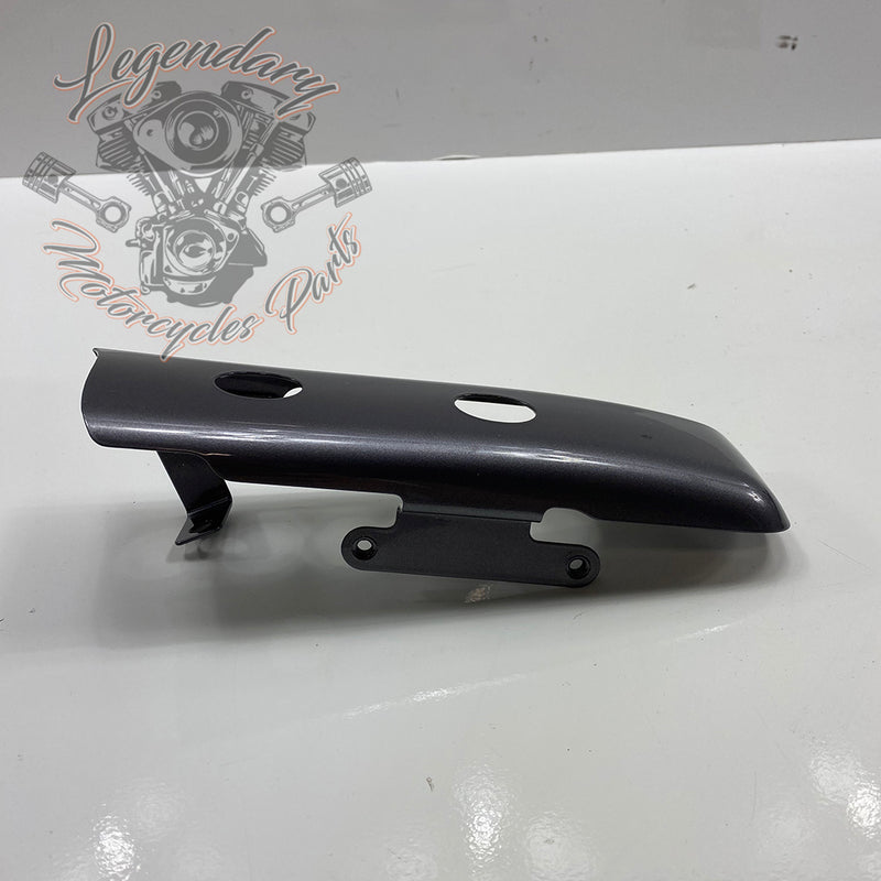 Luggage / Fender Filler Trim OEM 90200874DST