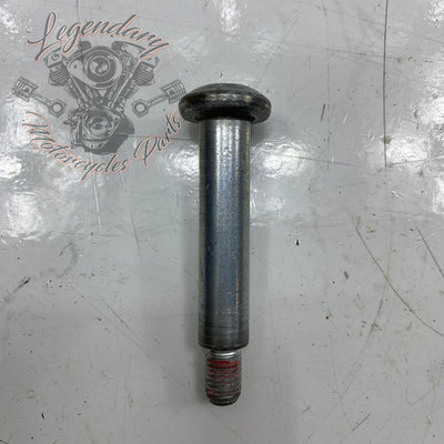 Tornillo de pie de selector OEM 33600156