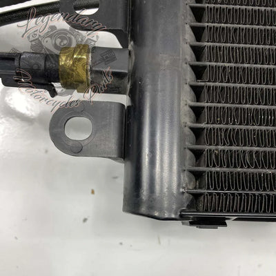 Left Radiator OEM 26800006