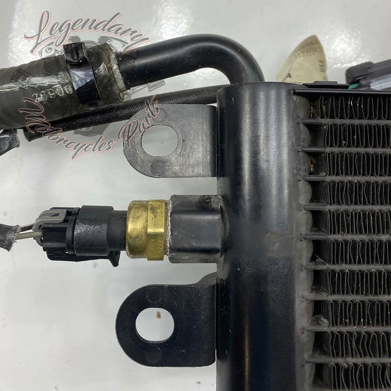 Left Radiator OEM 26800006