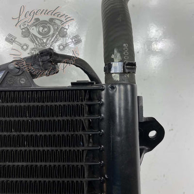 Left Radiator OEM 26800006