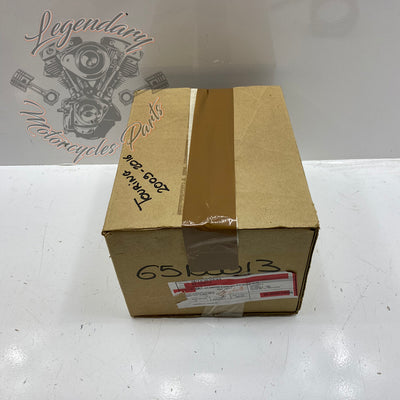 Terminale di scarico OEM 65100013