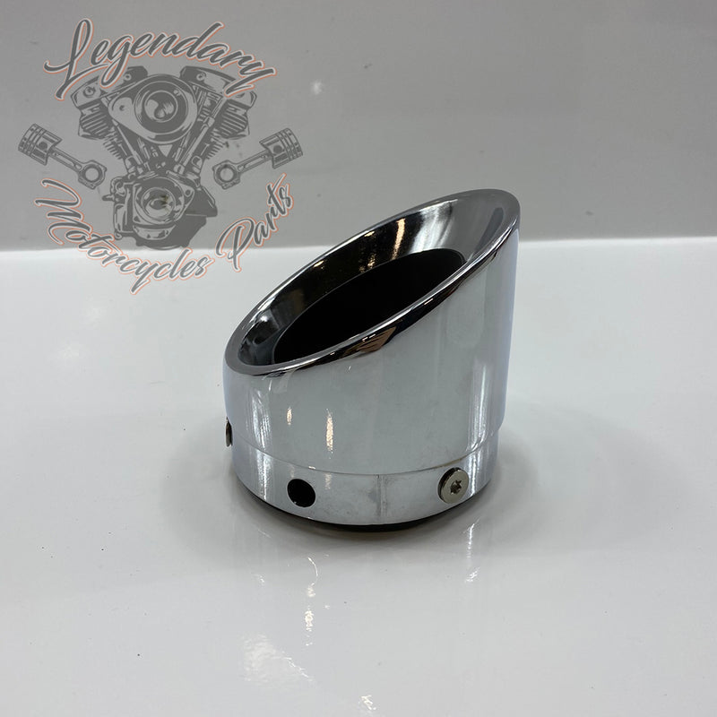 Exhaust tip OEM 65100078