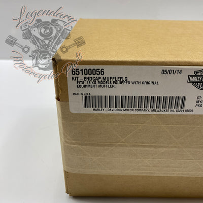 Edge Cut Muffler Tip OEM 65100056