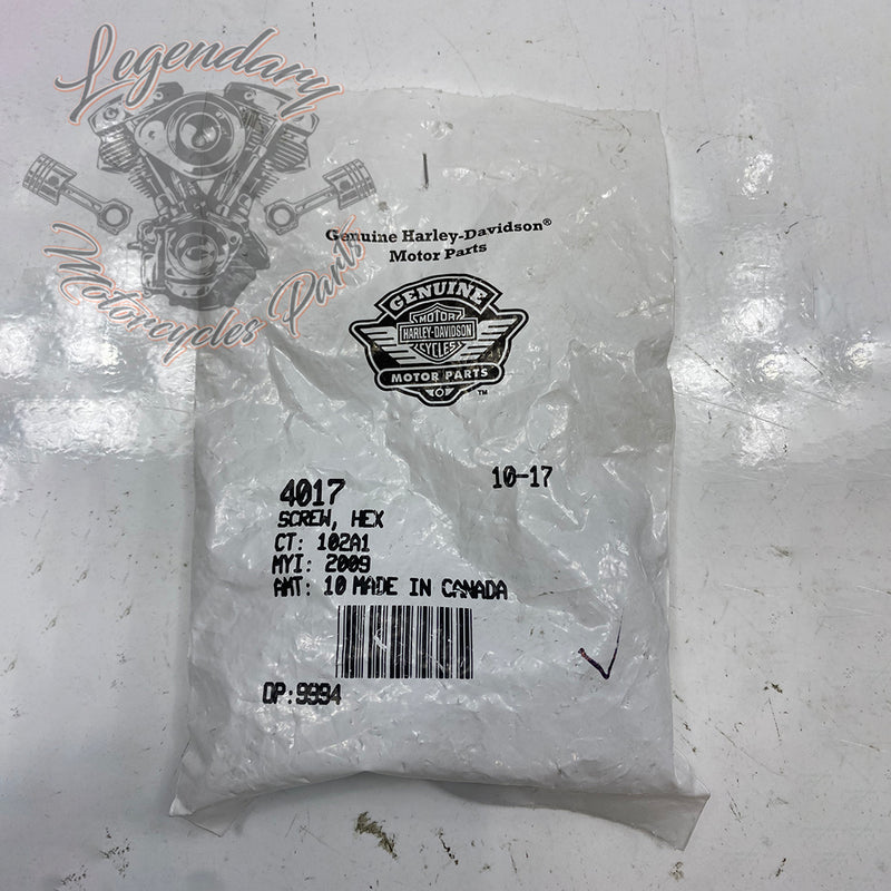 Hexagon Head Screw OEM 4017