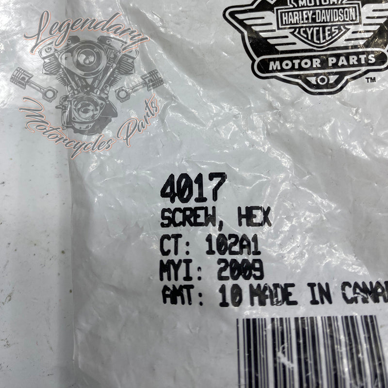 Hexagon Head Screw OEM 4017