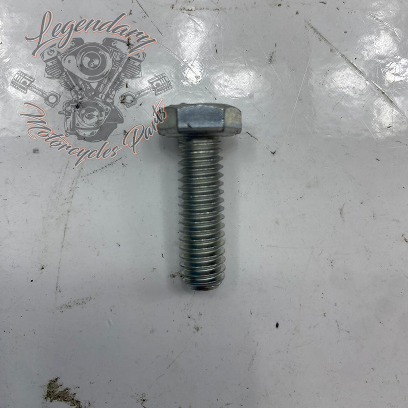 Hexagon Head Screw OEM 4017