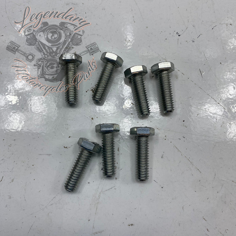 Hexagon Head Screw OEM 4017