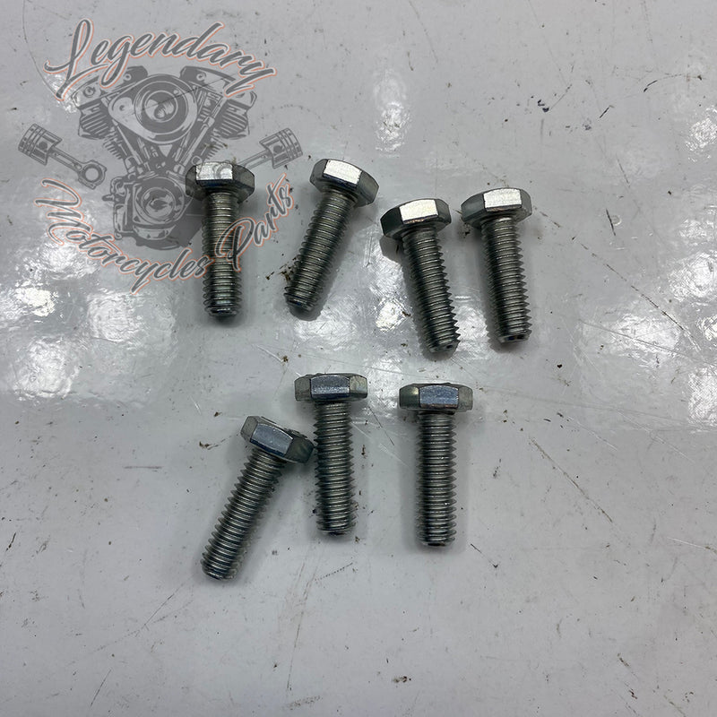 Hexagon Head Screw OEM 4017