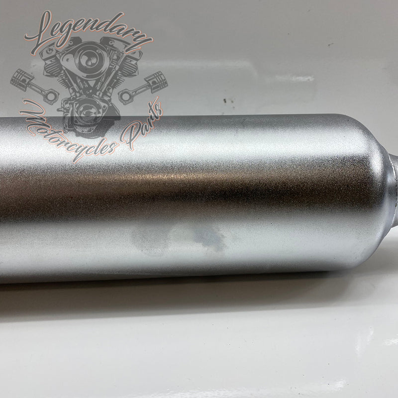 Silenziatore Street Cannon OEM 64900642