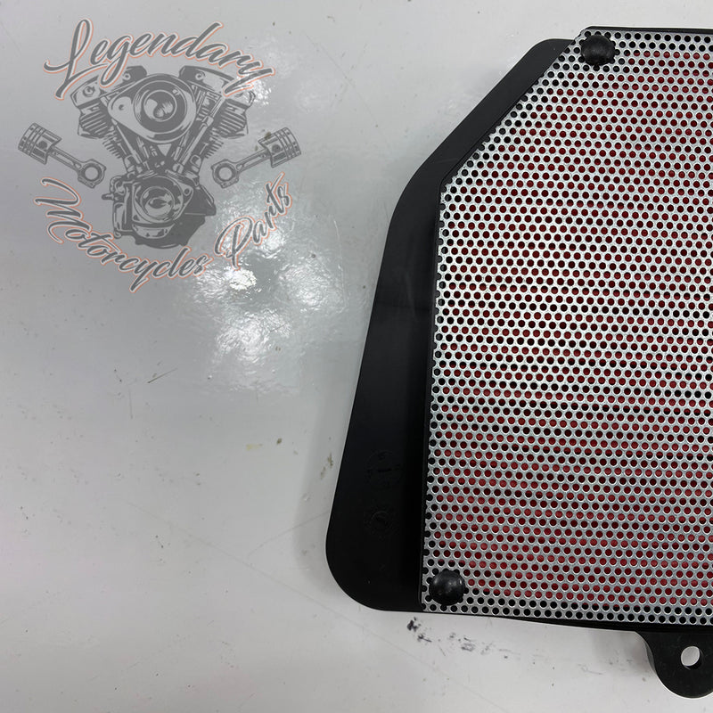 Air Filter OEM HFA4917