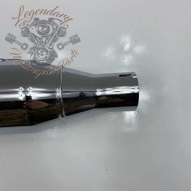 Street Cannon Muffler OEM 64900756