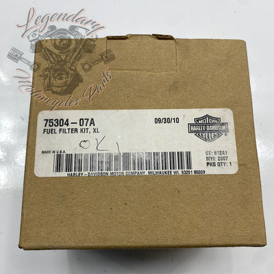 Kit filtro benzina OEM 75304-07A