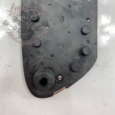 Right Driver Footpeg Insert OEM 50500089