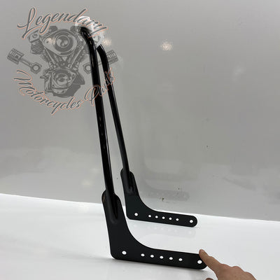 Sissy bar amount OEM 52300502