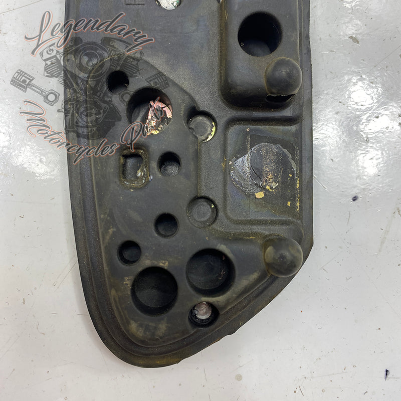 Driver Footpeg Inserts OEM 50500089