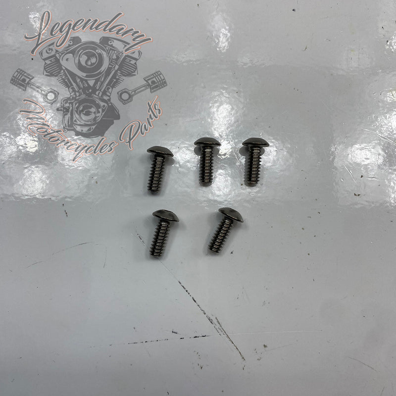 Screw OEM 2467