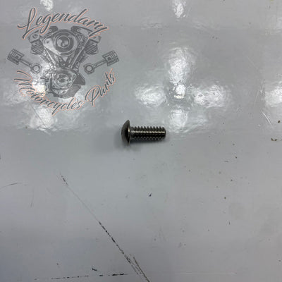 Screw OEM 2467