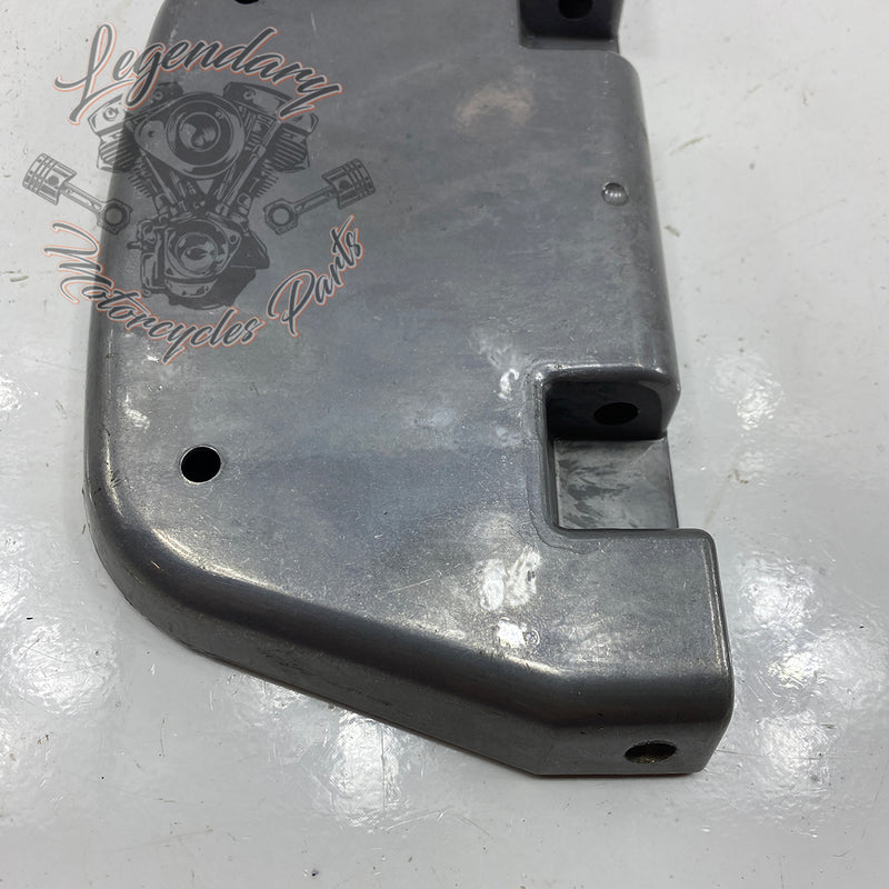 Passenger Footpeg OEM 50613-86SF