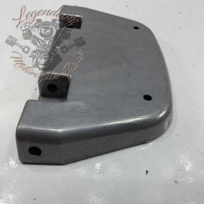 Passenger Footpeg OEM 50613-86SF